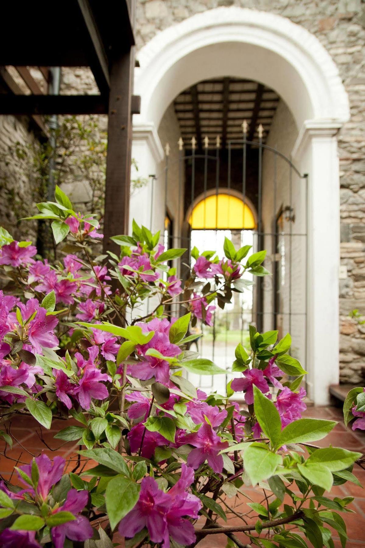 Hotel La Mision Colonia Del Sacramento Exterior foto